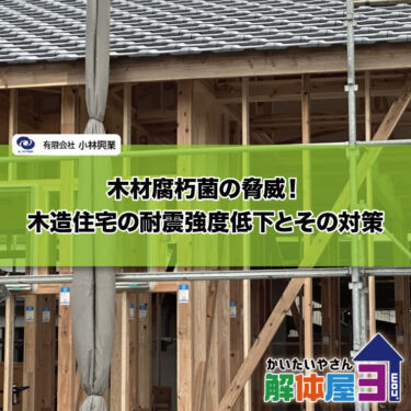 木材腐朽菌の脅威！木造住宅の耐震強度低下とその対策