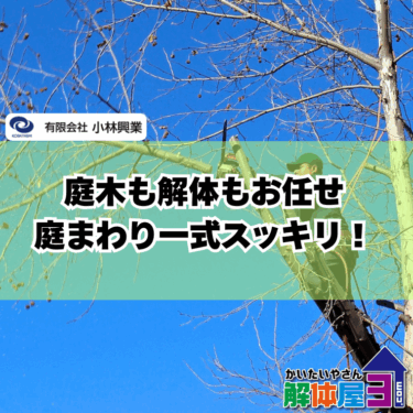 庭木撤去は解体業者に任せよう！広島での費用と流れ