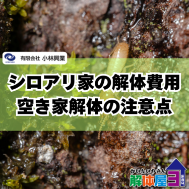 シロアリ被害の家を解体すると費用は上がる？追加費用の理由を解説